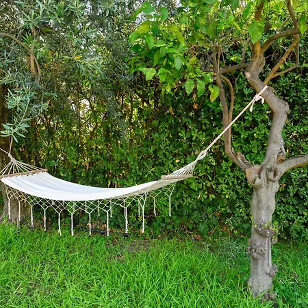 Nymphaea Sperlongaresort *